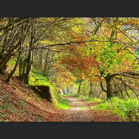 Appartement Enjoy 5 *