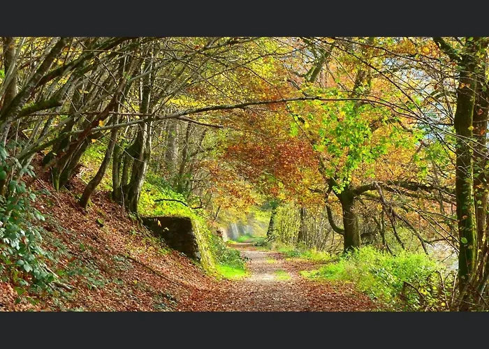 Appartement Enjoy 5 *